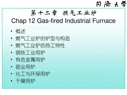 燃气燃烧与应用_chap12
