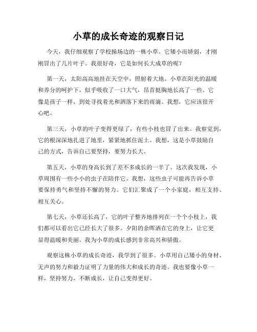 小学三年级作文小草的成长奇迹的观察日记
