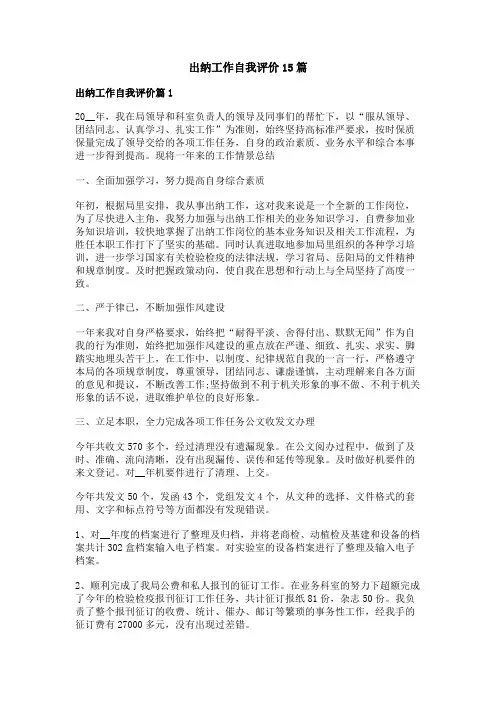 出纳工作自我评价