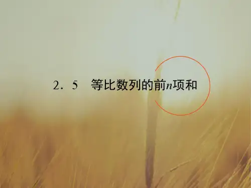 2018学年高中数学必修5课件：第2章 数列2.5 精品