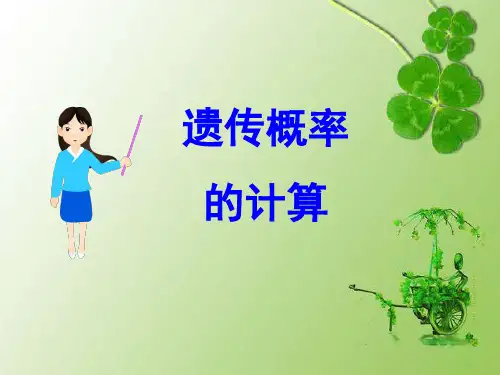 (复习难)遗传概率计算