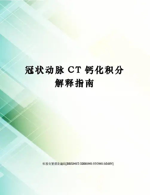 冠状动脉CT钙化积分解释指南