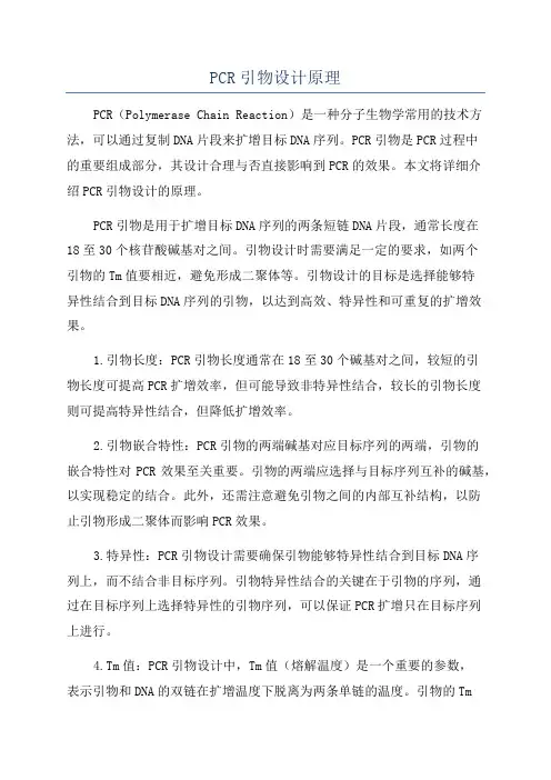 PCR引物设计原理