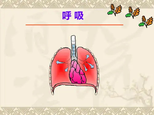 (精品)生理课件：呼吸 (2)