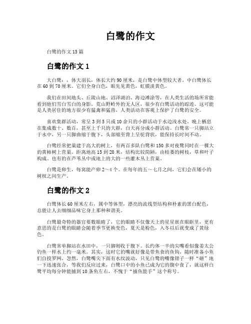 白鹭的作文