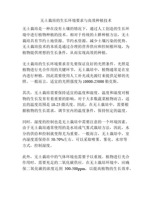 无土栽培的生长环境要求与高效种植技术