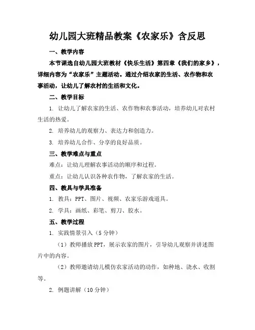 幼儿园大班精品教案《农家乐》含反思