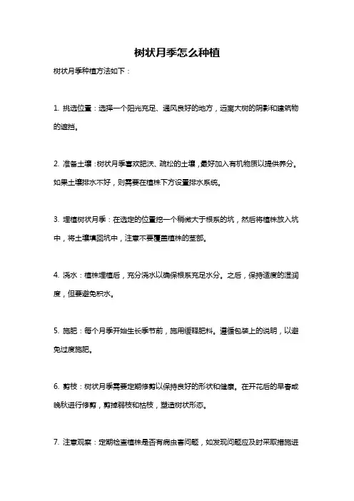 树状月季怎么种植