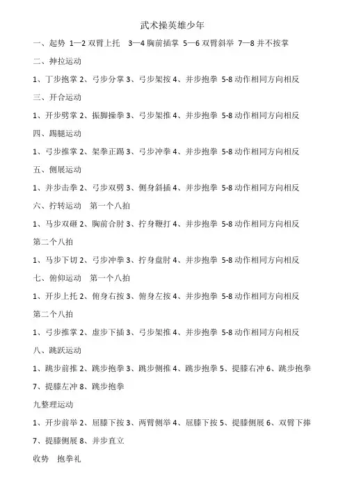 武术操英雄少年