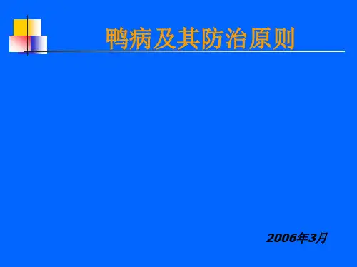 鸭病幻灯