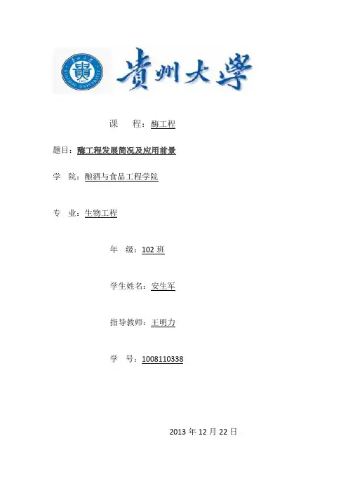 酶工程发展概况及应用前景