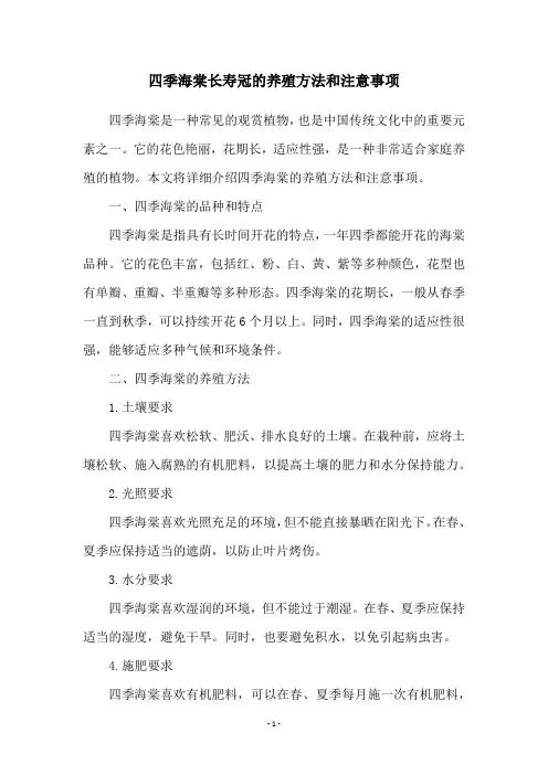 四季海棠长寿冠的养殖方法和注意事项