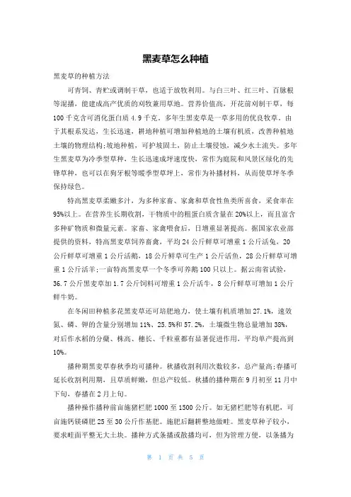 黑麦草怎么种植