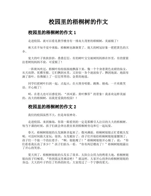 校园里的梧桐树的作文