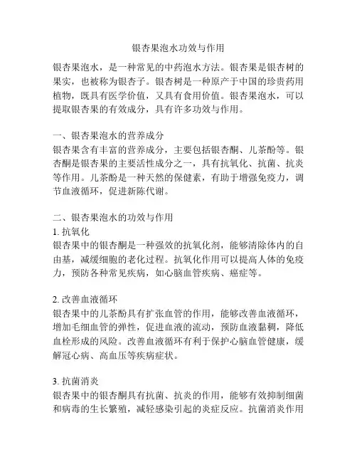 银杏果泡水功效与作用