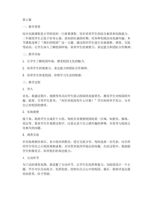 教学反思二年级综合实践(3篇)