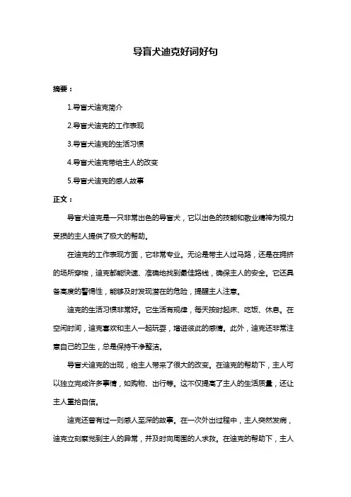 导盲犬迪克好词好句