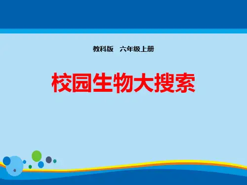 《校园生物大搜索》生物的多样性PPT下载【精选推荐课件】