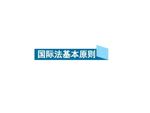 国际法基本原则  国际公约法