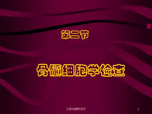 骨髓ppt课件