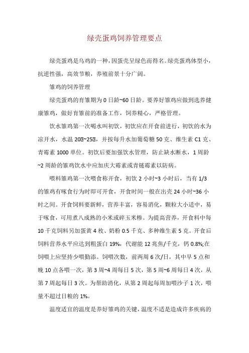 绿壳蛋鸡饲养管理要点