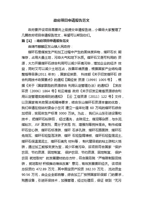 政府项目申请报告范文