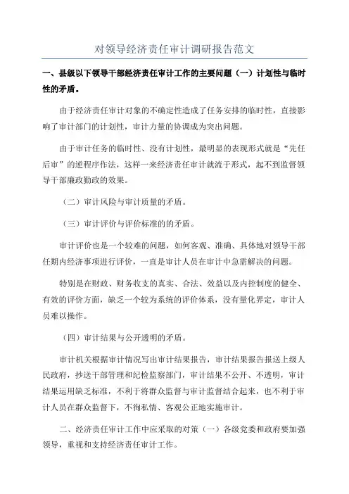 对领导经济责任审计调研报告范文.docx