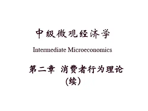 中级微观经济学 第二章 (2)