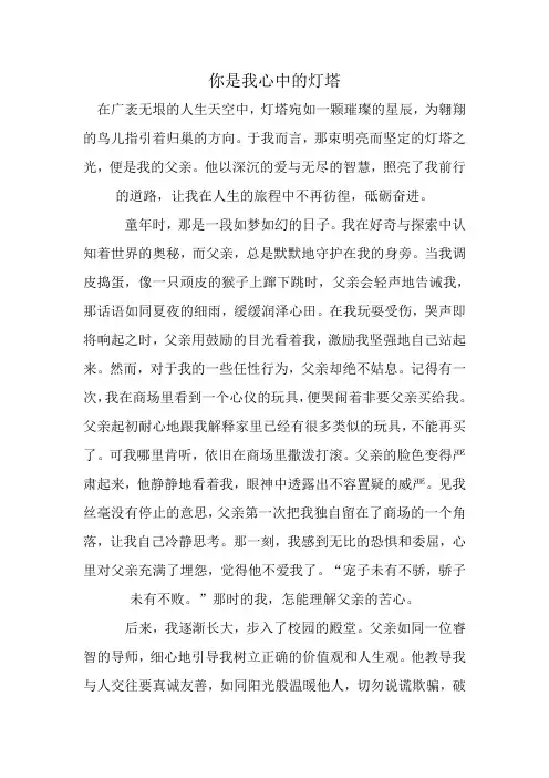 你是我心中的灯塔(作文)