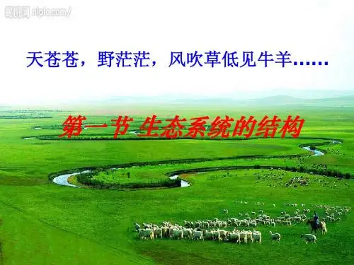 5.1生态系统的结构