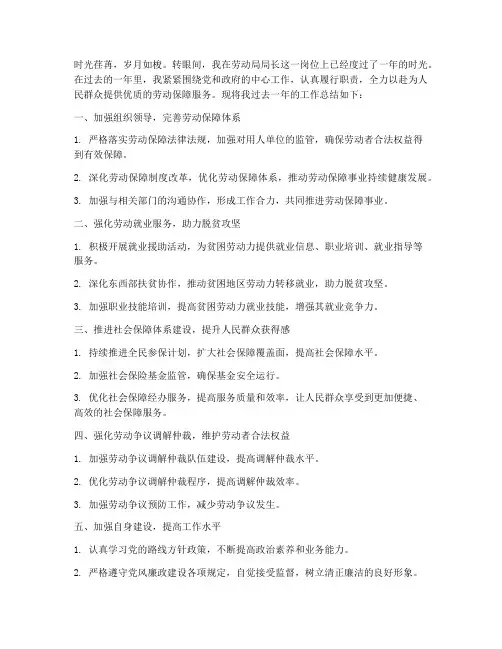劳动局局长个人工作总结