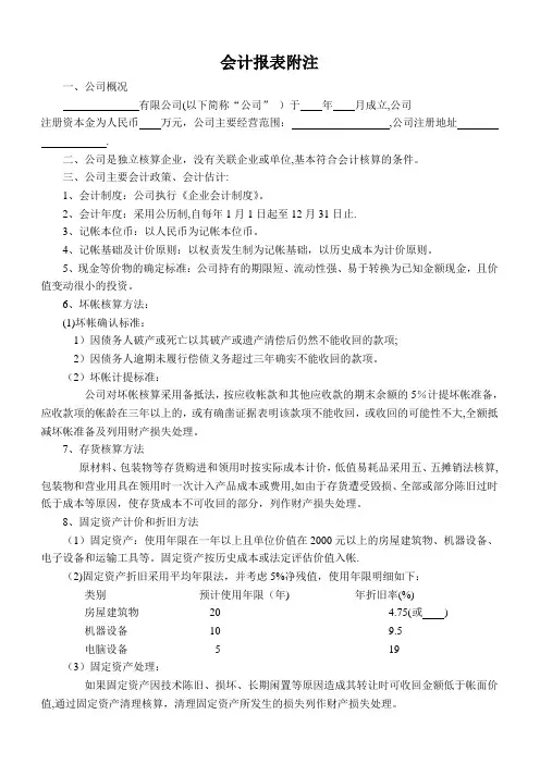 会计报表附注及财务情况说明书