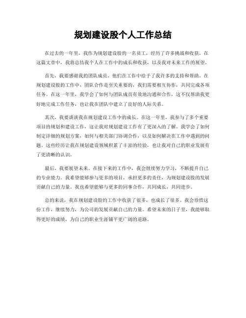 规划建设股个人工作总结