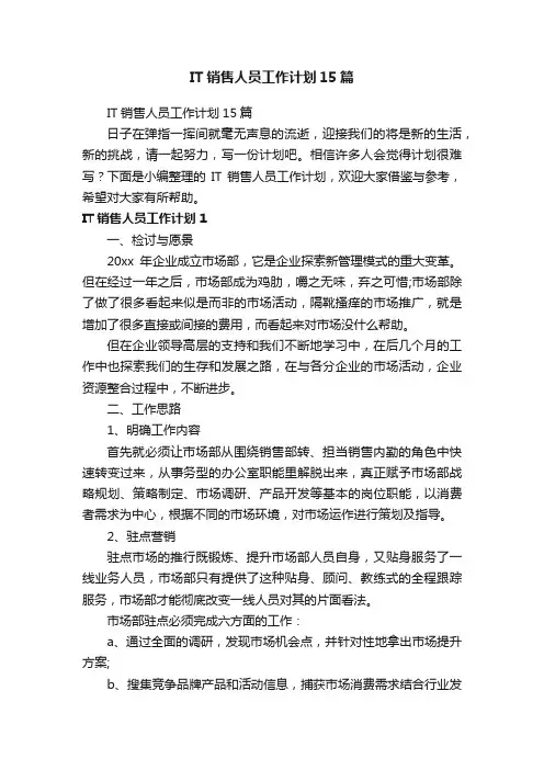 IT销售人员工作计划15篇