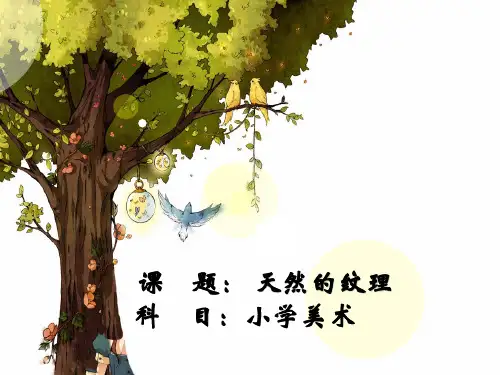 人教版小学美术三年级上册 天然的纹理名师教学PPT课件