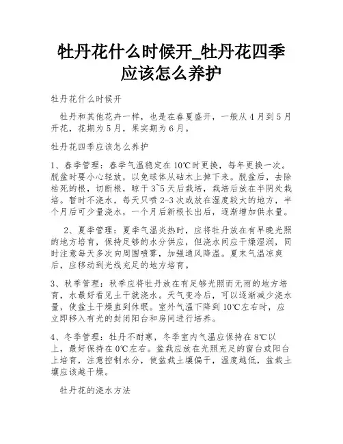 牡丹花什么时候开_牡丹花四季应该怎么养护
