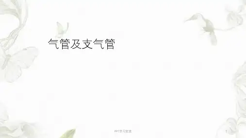 正常纤维支气管镜下结构课件