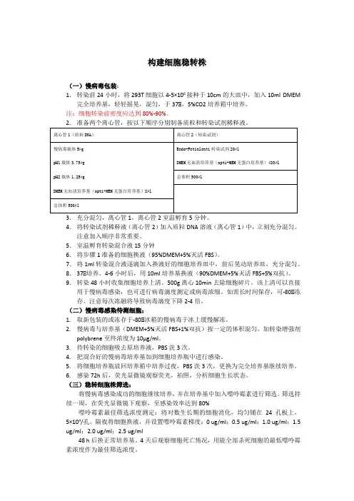 构建细胞稳转株