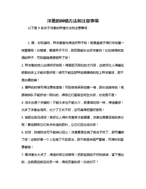 洋葱的种植方法和注意事项
