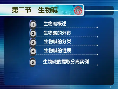 生物碱PPT课件