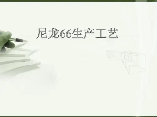 尼龙生产工艺PPT课件
