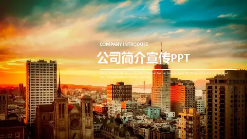 公司简介产品介绍PPT企业宣传模板