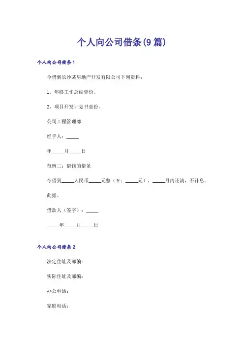 个人向公司借条(9篇)