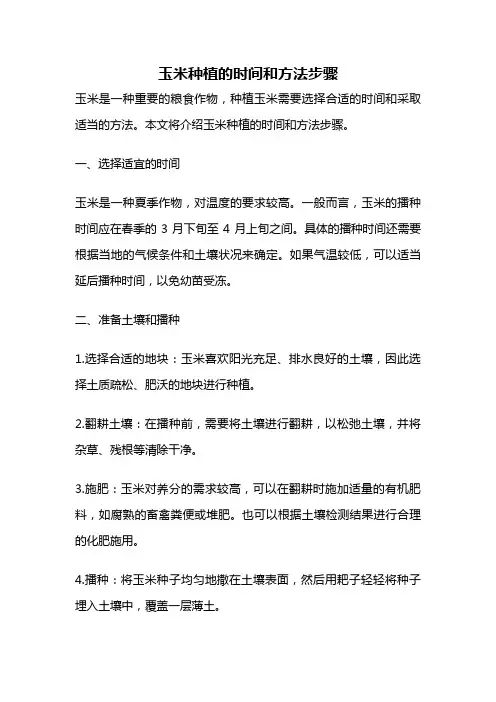 玉米种植的时间和方法步骤