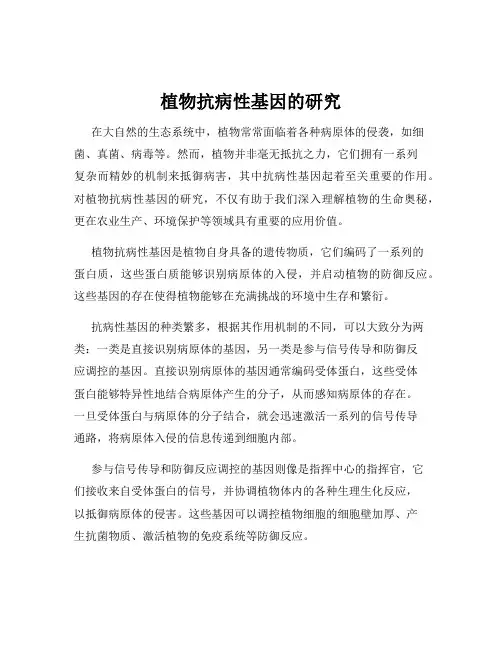 植物抗病性基因的研究