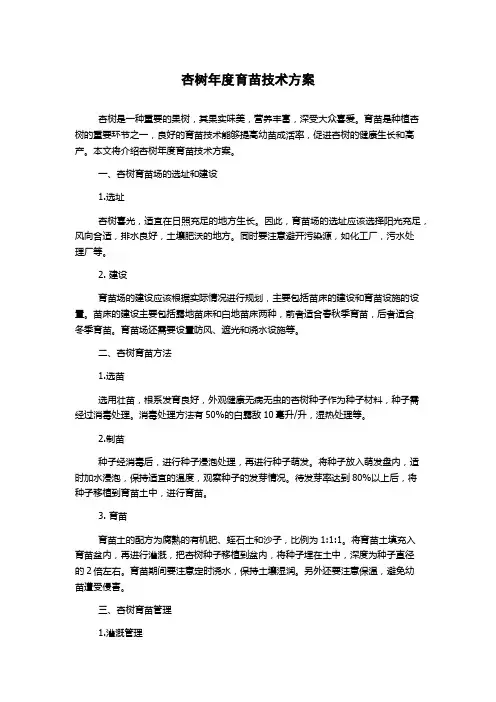杏树年度育苗技术方案