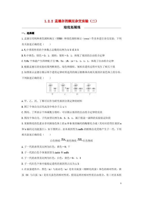 高中生物孟德尔的豌豆杂交实验(二)培优拓展练(无答案)新人教版必修2