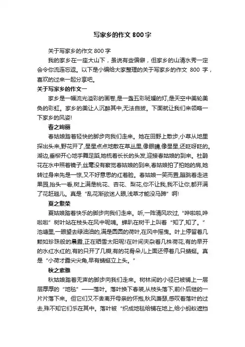 写家乡的作文800字