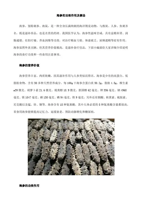 海参的功效作用及禁忌