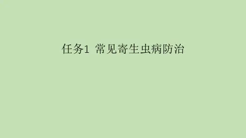 常见寄生虫病防治 猪养殖